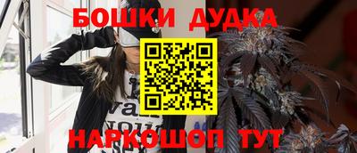индика Партизанск