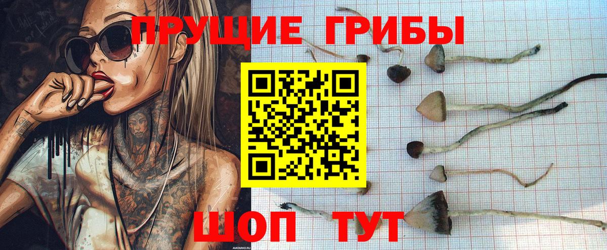Галлюциногенные грибы мицелий Чусовой