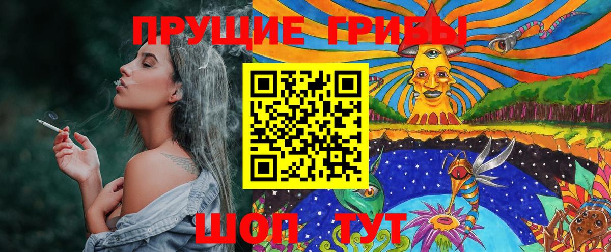 цена   Псилоцибиновые грибы Psilocybine cubensis  Вход с VPN  Чусовой 